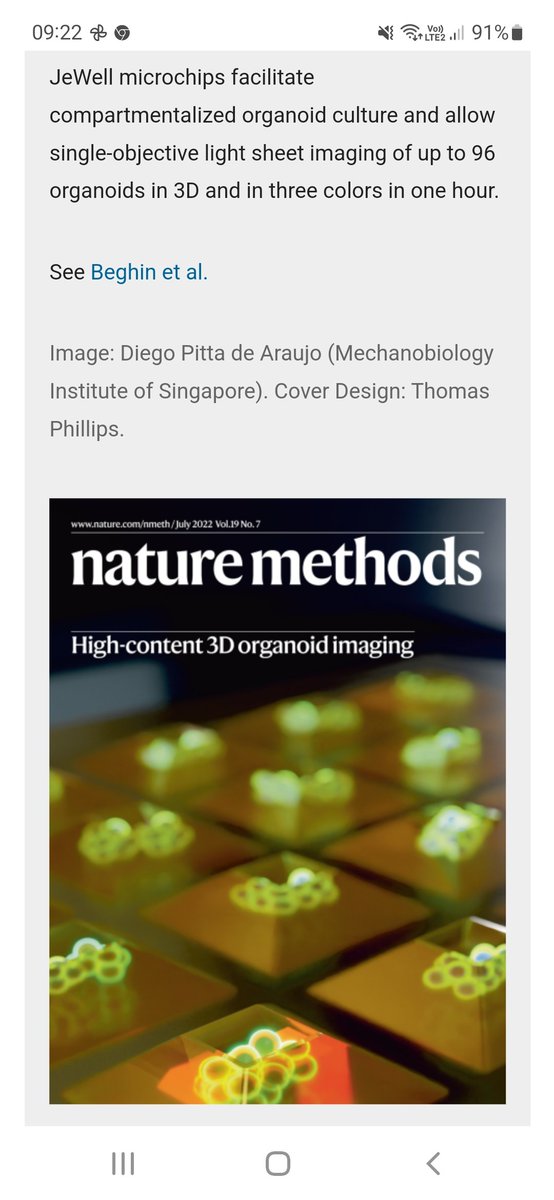 BeghinTeam's tweet photo. Wait for it bis !Our JeWells as the cover of Nature methods ! Fantastic work of Diego Pitta de Araujo for the illustration.  "Volume 19 Issue 7, July 2022" https://t.co/xcehn3HeOQ https://t.co/nG4qnqTIL7