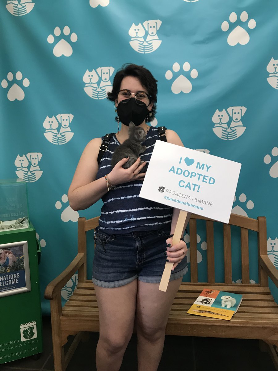 PasadenaHumane's tweet photo. In celebration of #NationalKittenDay, here are a few of our recent kitten adoptions! 🎉 https://t.co/mLPzFVWBwJ