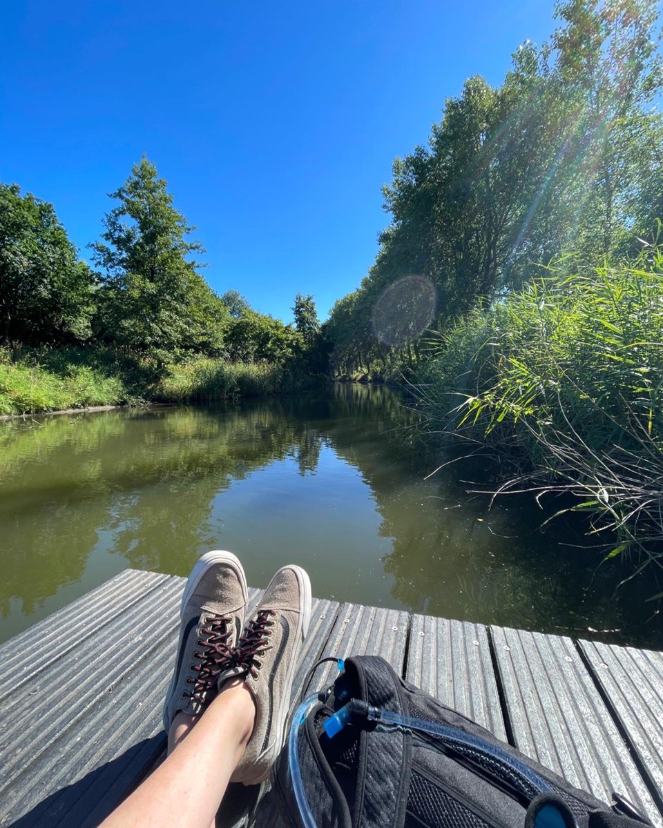 Wenneke123's tweet photo. Clearing the mind on a sunny Sunday 🚴🏻♀️🌞 #nature #clearingthemind #zazen #peaceful https://t.co/LjztrhfhSs