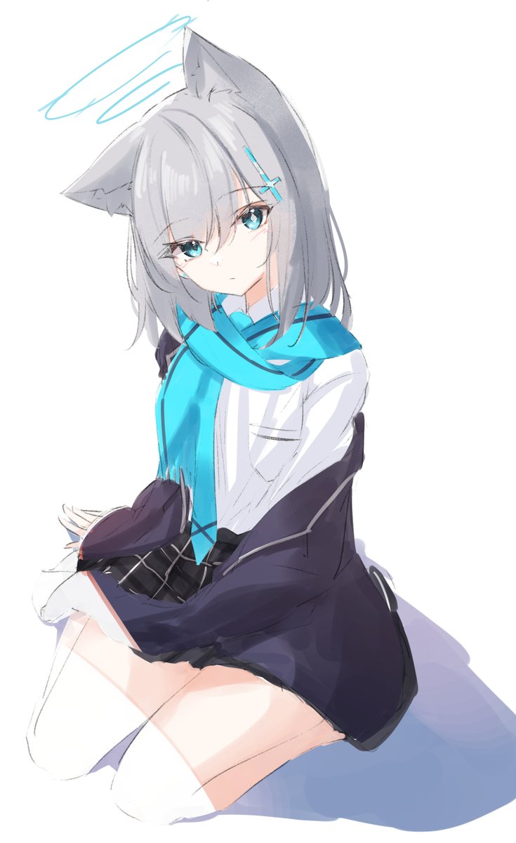 shiroko (blue archive) 1girl solo animal ears scarf halo grey hair blue scarf  illustration images