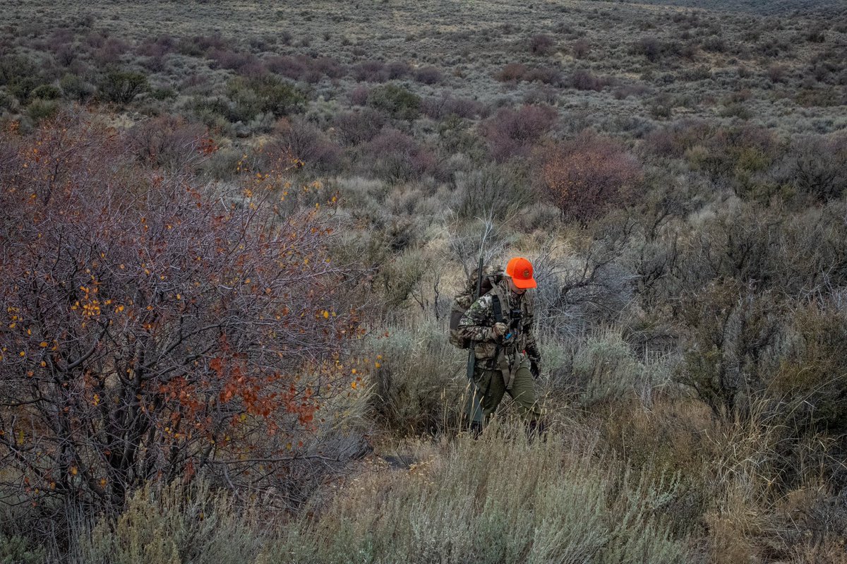 burnt_co's tweet photo. Is it fall yet?

—
#burntco #hunt #hunting #hunter #thegreatoutdoors #whatgetsyououtdoors #outside #hiketohunt #birdhunting #biggamehunting #gamebird #pheasant #chukar #elk #deer #blazeorange #birddog #gundog #sportdog https://t.co/ZlNt5XbvYS