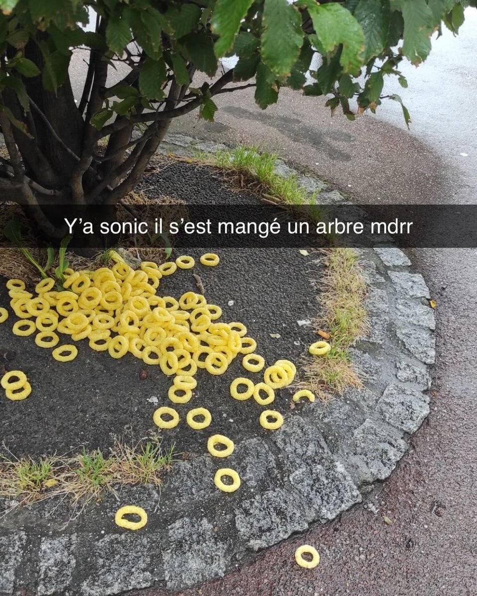 PHalvick's tweet photo. Oups !
#repost : @ca_cest_bill
#geek #geekmeme #joke #blague #humourgeek #sonic #anneau #game {jeuxvideo https://t.co/0q9zqVayMn