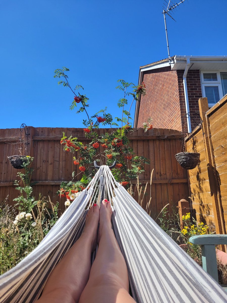 Making the most of the sun 🌞