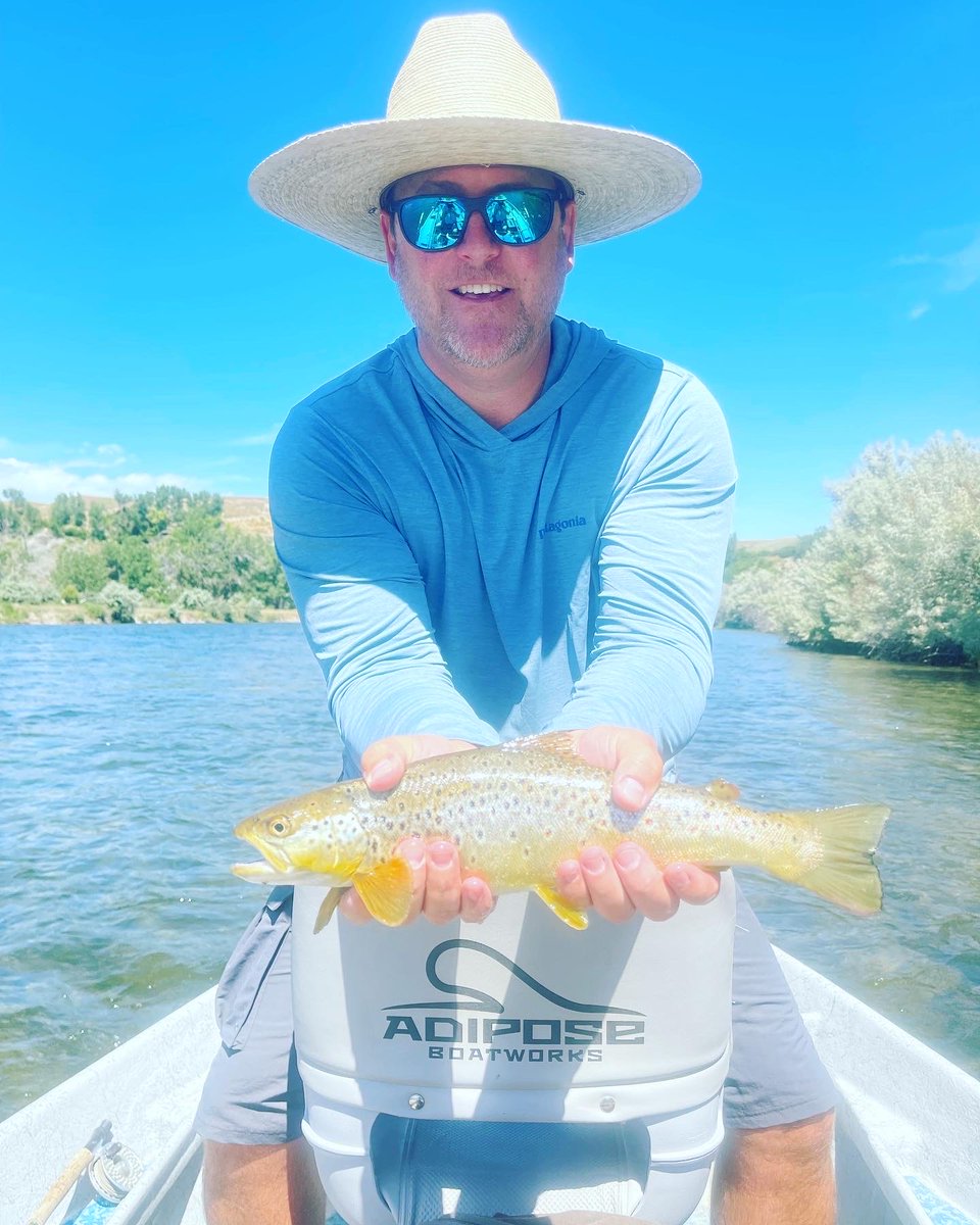 BoomerMurray's tweet photo. Bighorn - such a great trip https://t.co/1f22Sy47gA