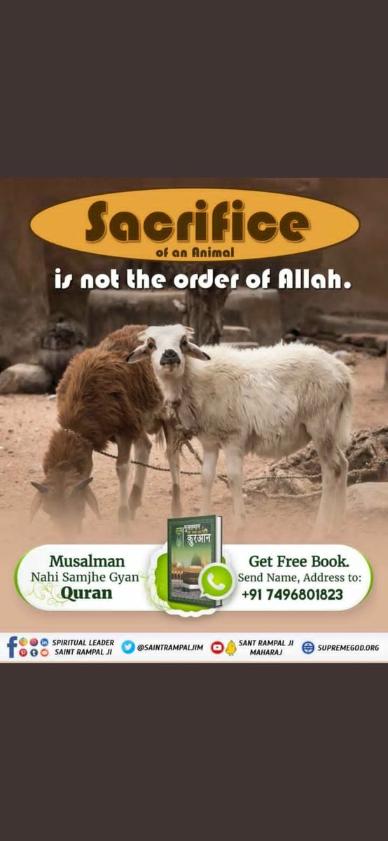 Official007adu's tweet photo. “We all living beings are children of one supreme God, so don’t slaughter/Halal them”. 
#बकरा_न_काटो
-Last Prophet Sant Rampal Ji https://t.co/ox8Qsw5d4a