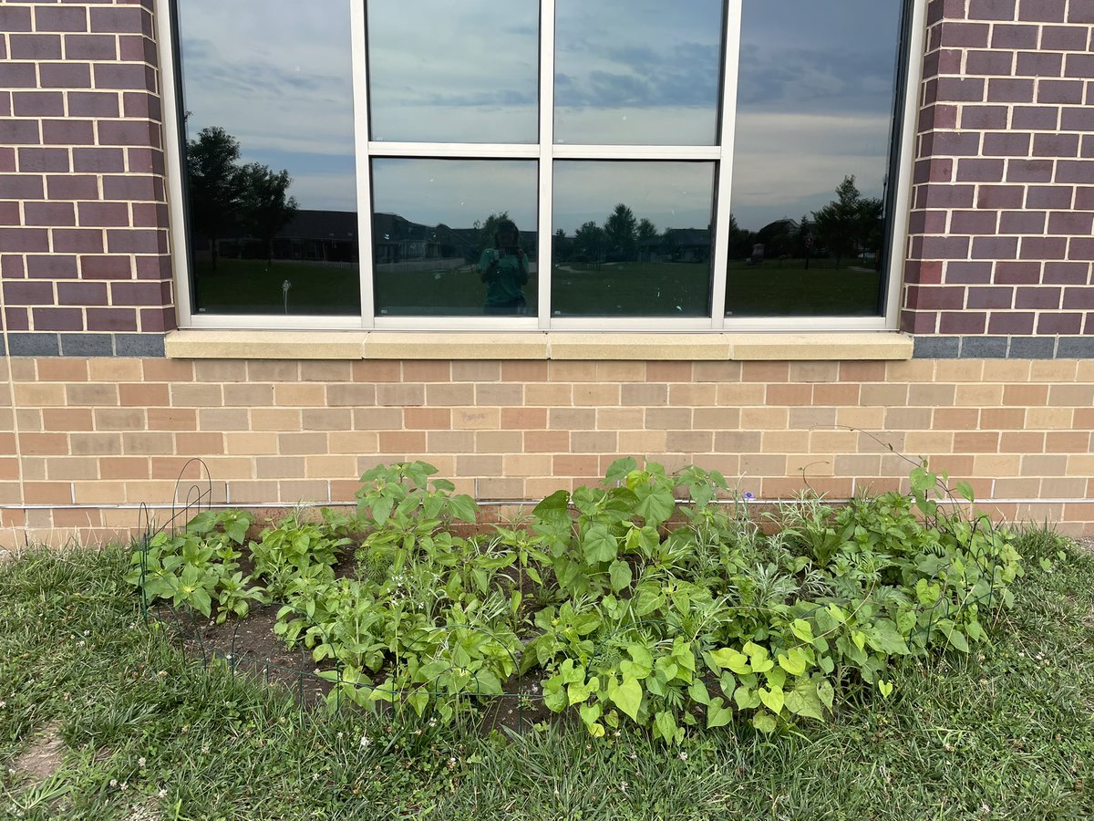 Angela Schneden, PAEMST tweet media