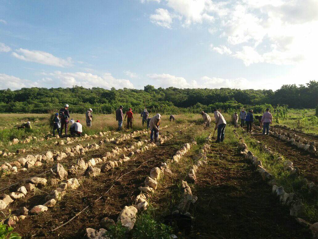AmppUNoris's tweet photo. Se efectuó jornada de trabajo voluntario en el municipio Urbano Noris https://t.co/tpHZUNp8TN #UrbanoNorisViveYTrabaja #26Julio #Holguín https://t.co/X8zncbsOXT
