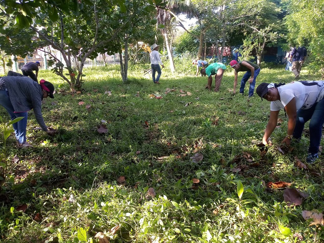 AmppUNoris's tweet photo. Se efectuó jornada de trabajo voluntario en el municipio Urbano Noris https://t.co/tpHZUNp8TN #UrbanoNorisViveYTrabaja #26Julio #Holguín https://t.co/X8zncbsOXT
