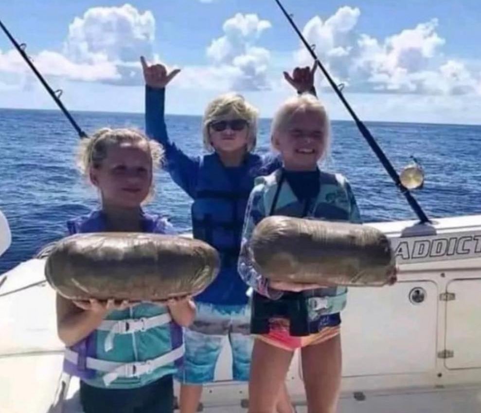 PiQSuite's tweet image. 🎣 When you take the kids fishing in Florida and they catch their first cocaine…