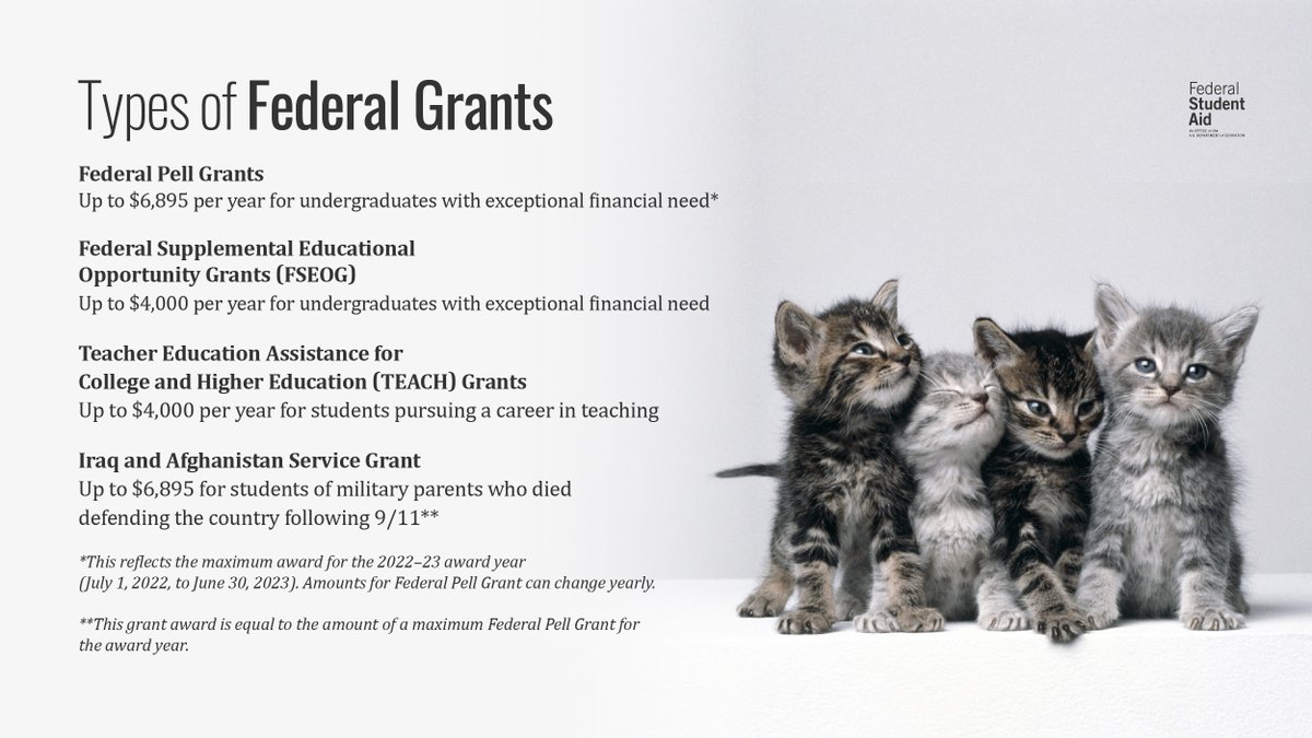 FAFSA's tweet photo. Learn about all the paw-sible federal grants you’re eligible for after you submit your FAFSA® form on #NationalKittenDay: https://t.co/8fZoeN0B5H https://t.co/fu6MR0rpYR