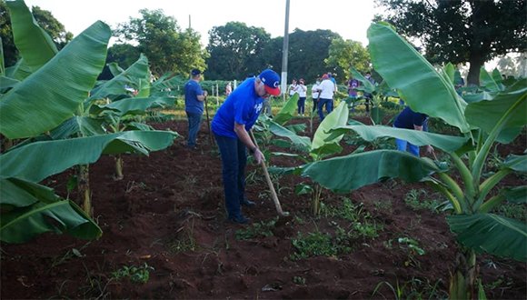 Hoy domingo, el primer secretario del PCC y presidente de la República, Miguel Díaz-Canel Bermúdez, participa en un trabajo voluntario en Bauta.
#CubaPorLaPaz
#CubaPorLaVida