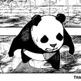 inumakiverse's tweet photo. can panda stay like this for awhile he's cute https://t.co/z6m7EA0Mo9