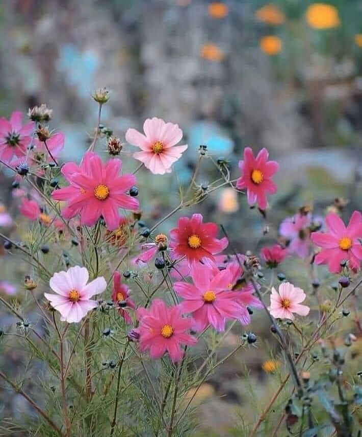 AdamJan77580818's tweet photo. @KarimANB1 يسعدلي اوقاتك ياعسل 😘🤗❤❤ https://t.co/9oOuHa41rw