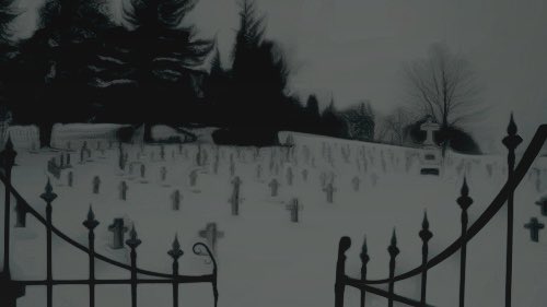 𝐌𝐚𝐲 𝐭𝐡𝐞 𝐥𝐨𝐯𝐢𝐧𝐠 𝐨𝐧𝐞𝐬
𝐢𝐥𝐥𝐮𝐦𝐢𝐧𝐚𝐭𝐞 𝐭𝐡𝐞 𝐩𝐚𝐭𝐡 𝐨𝐟 𝐭𝐡𝐞 𝐮𝐧𝐟𝐞𝐞𝐥𝐢𝐧𝐠.