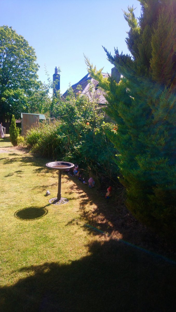 mahriedgar's tweet photo. Outdoors in the sun, residents staff and families. What better way to enjoy your Sunday in the care home @CareInspect @CarersScotland @Jordo881 @helenskinner99 @Salstweeting https://t.co/04U1AmZ6zG
