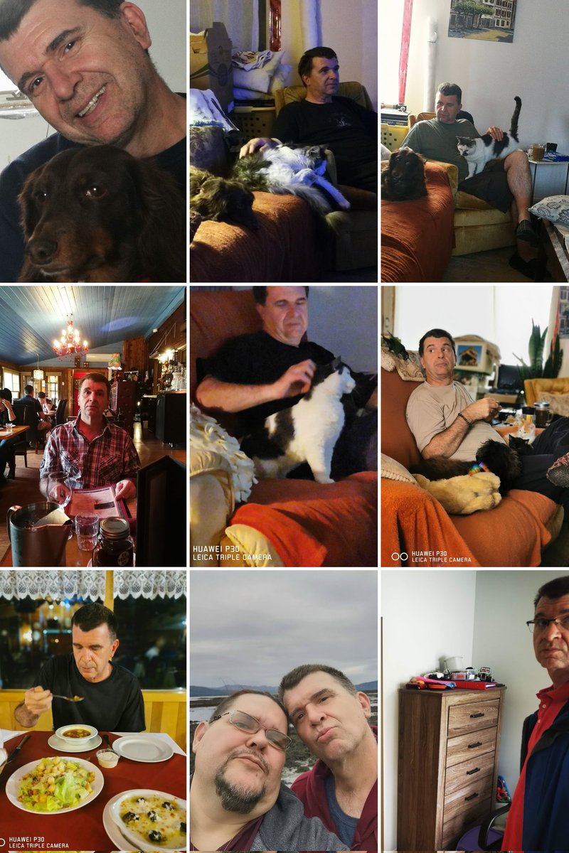 LPYan3's tweet image. 