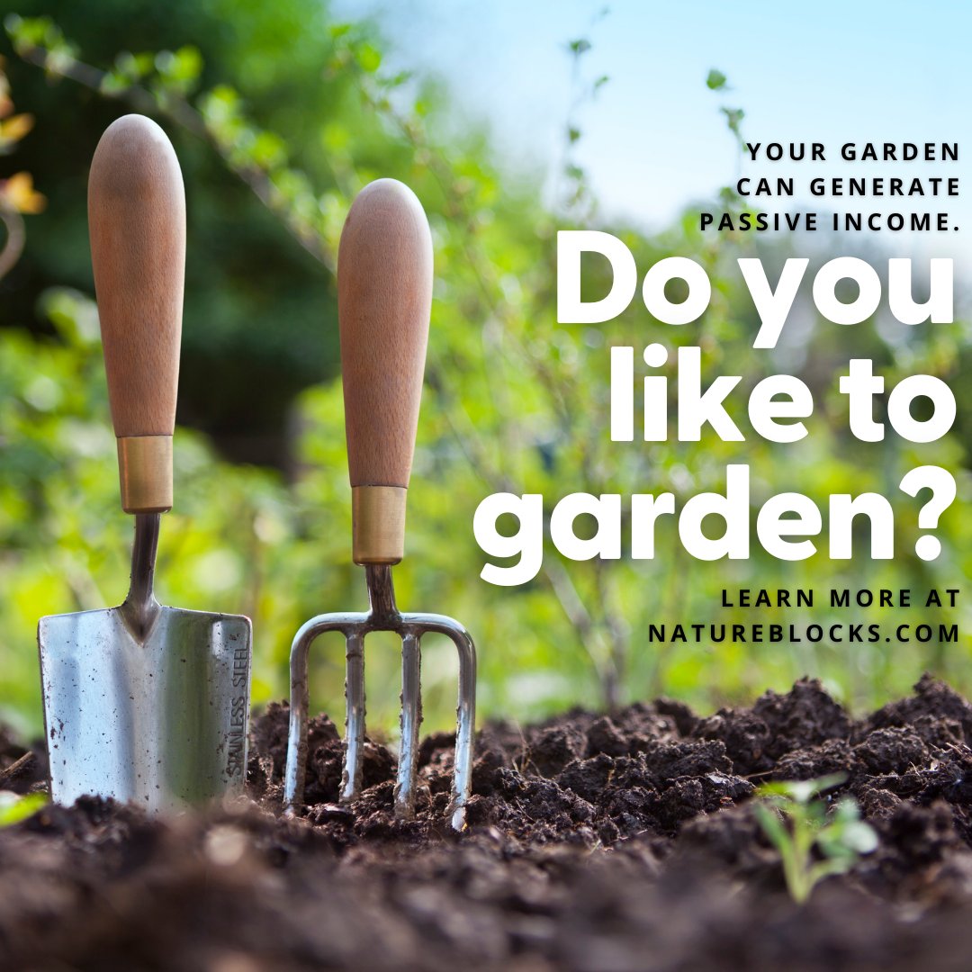 natureblocks's tweet photo. Well, do you?

If so, its likely your #garden can generate #carbon credits for the #greenhouse gasses that it sequesters from the #atmosphere. You can sell these #credits to those looking to offset their carbon #emissions.

This means your garden can generate passive income. https://t.co/2MC25p86iy