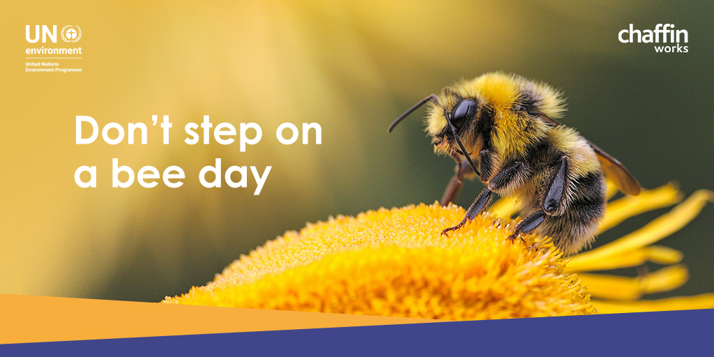 Chaffin Works tweet media