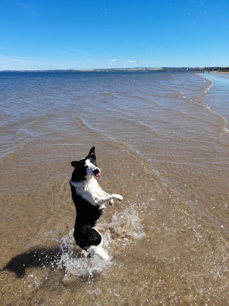 James Frame tweet media