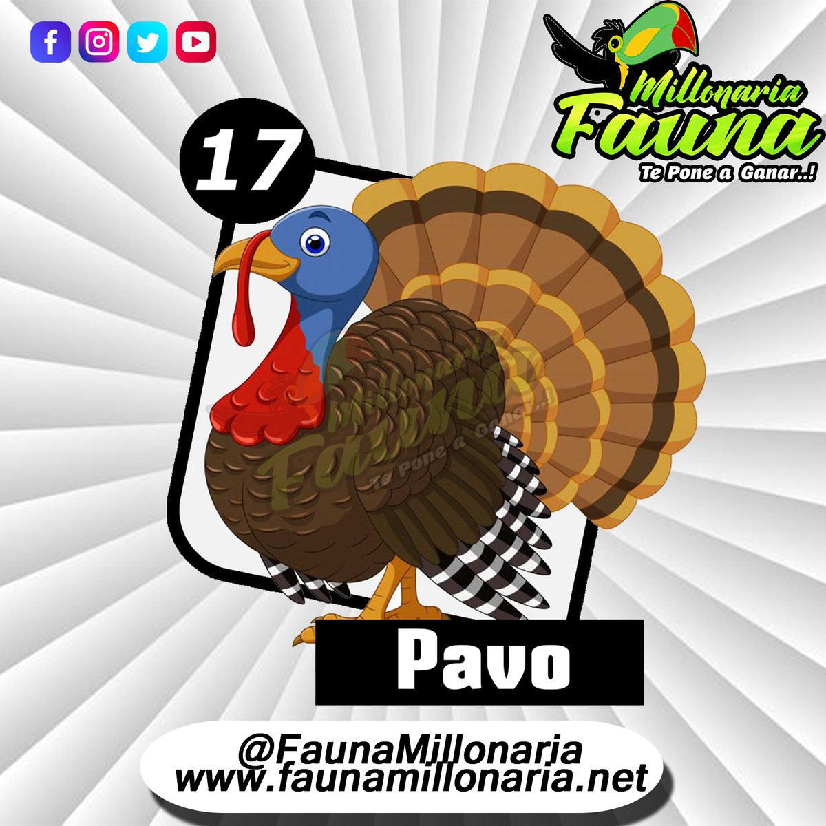 Fauna Millonaria 
Fecha 10/07/2022 
Hora : 11:30 Am 
17 Pavo
Telegram - t.me/minifauna                    
Web : faunavzla.net