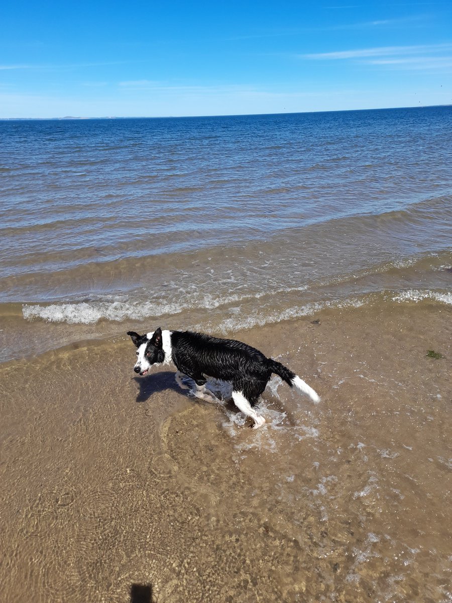 James Frame tweet media