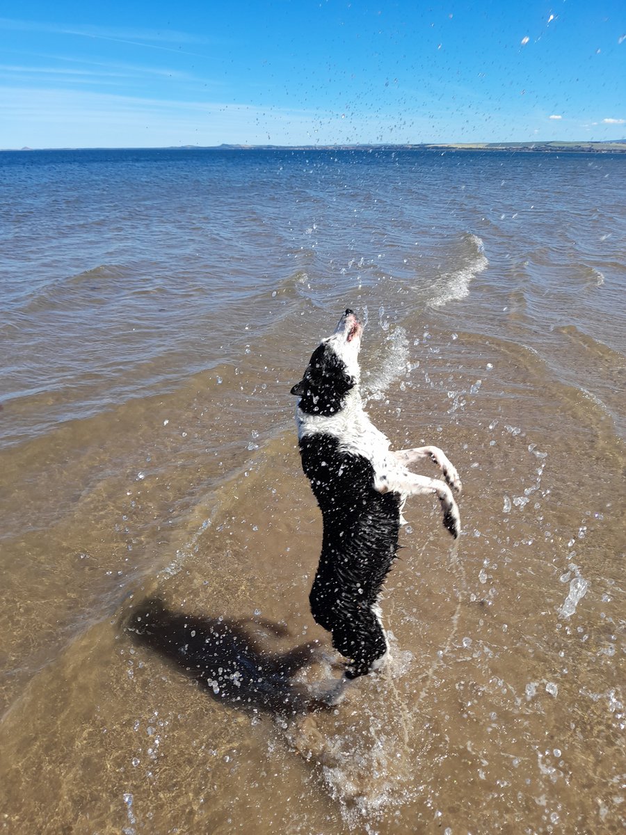 James Frame tweet media