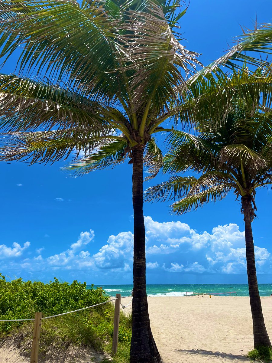 Miss J. Rath tweet media