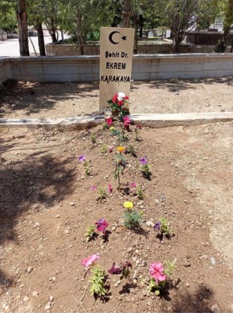 Her gün bakın her gün hatırlayın diye.. Biz öyle yapacağız..

<a href="/tibbiyelisozluk/">Tıbbiyeli Sözlük</a>

#hastambenimhastam