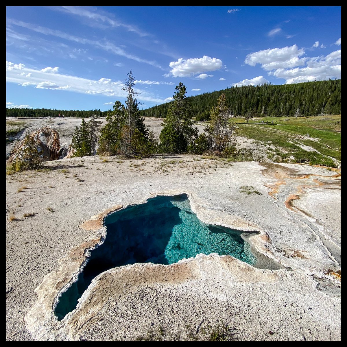 4xForecaster tweet media