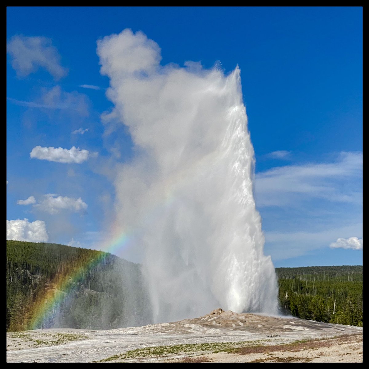 4xForecaster tweet media