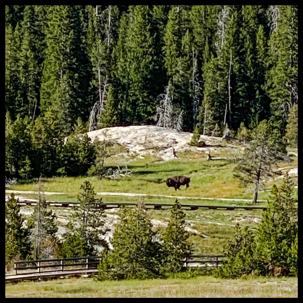 4xForecaster tweet media