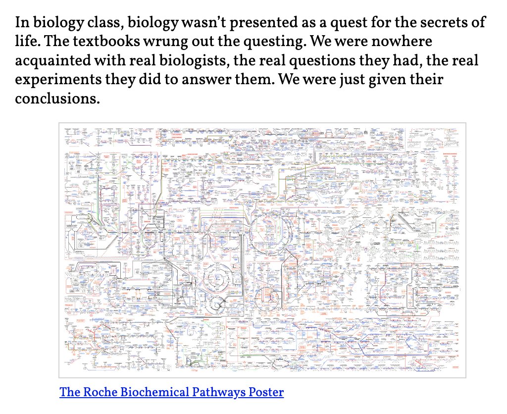 Tony Zador tweet media