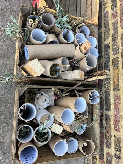 Year 3 have been making bug hotels so that we can encourage the #biodiversity on our school grounds. Looking forward to finding out what we can attract to live with us!