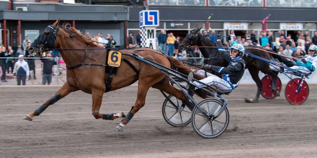 Stall Christoffer Eriksson tweet media
