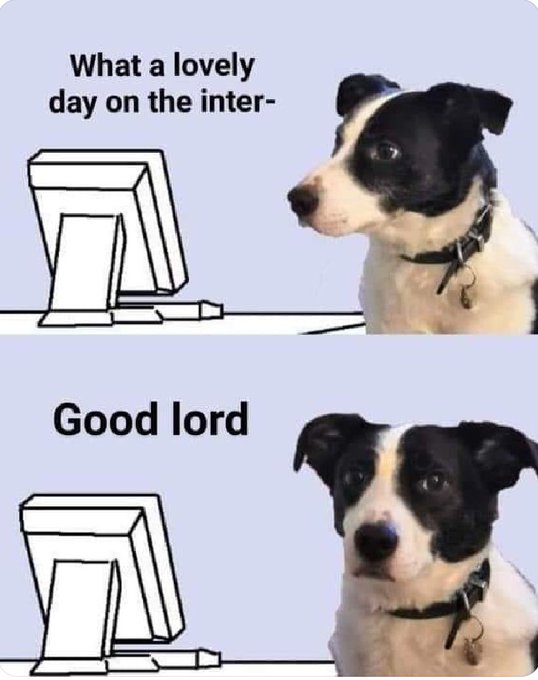 DavesSweeps's tweet photo. Twitter: #4chan 
Everyone: #HunterBiden 
Me: https://t.co/BLbIWRsS0F