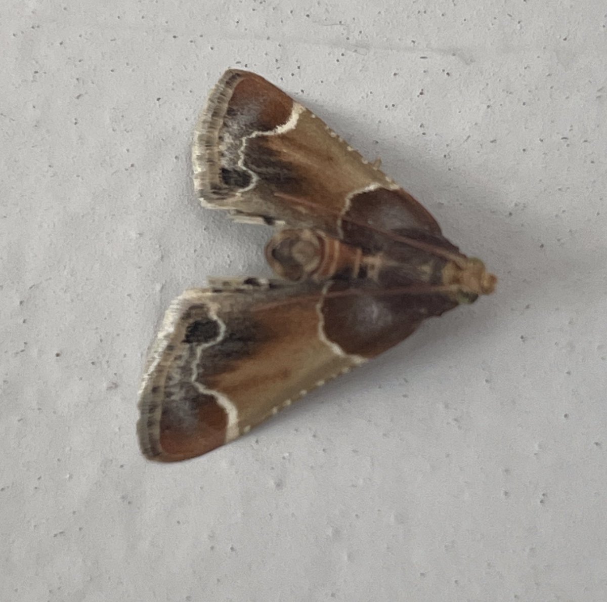 brian_barett's tweet photo. Help with this one please @MOTHIDUK    Thanks https://t.co/9LNtzpLPow