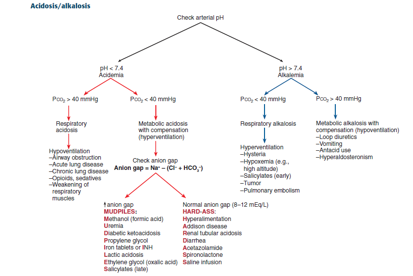 walinjom's tweet photo. Acidosis / Alkalosis: https://t.co/2qNJkiccyN