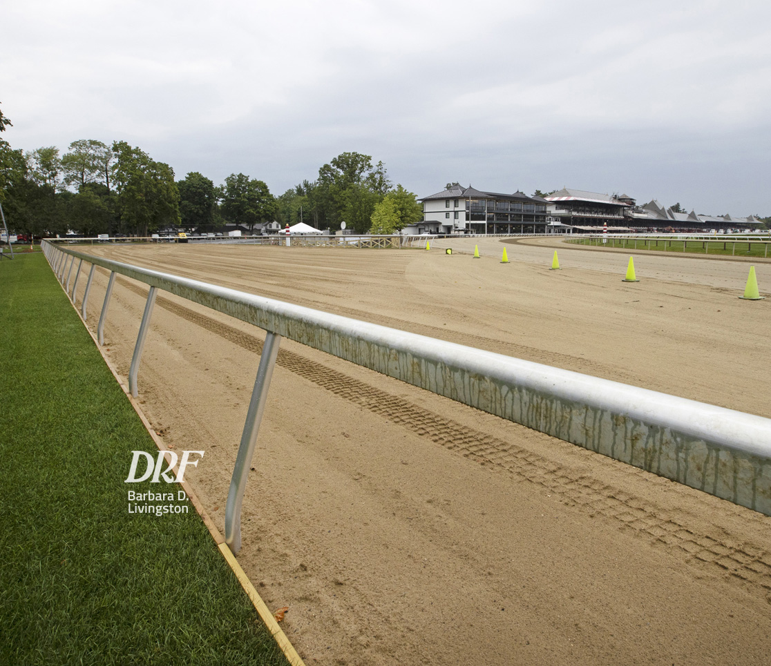 Daily Racing Form on Twitter "SARATOGA Wilton Stakes has nine for