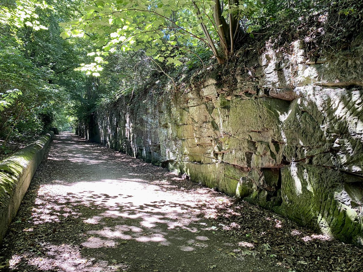 tomcreer's tweet photo. Old Cutting Walk #wirralway https://t.co/z82AkbCZAW
