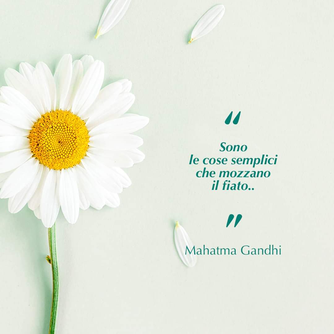 Grazia 🌷 tweet media