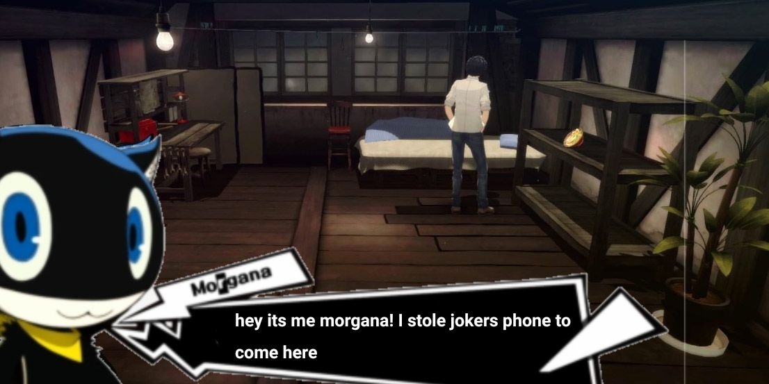 Morgana (@phtom_cat) on Twitter photo 