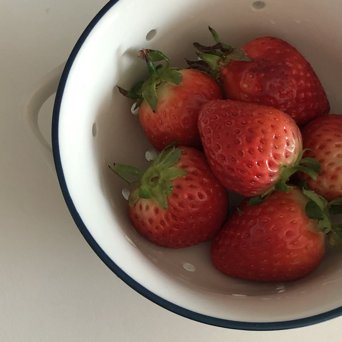 🏡생각날때마다 쓰는 식기 및 주방용품 추천타래(?)🏡