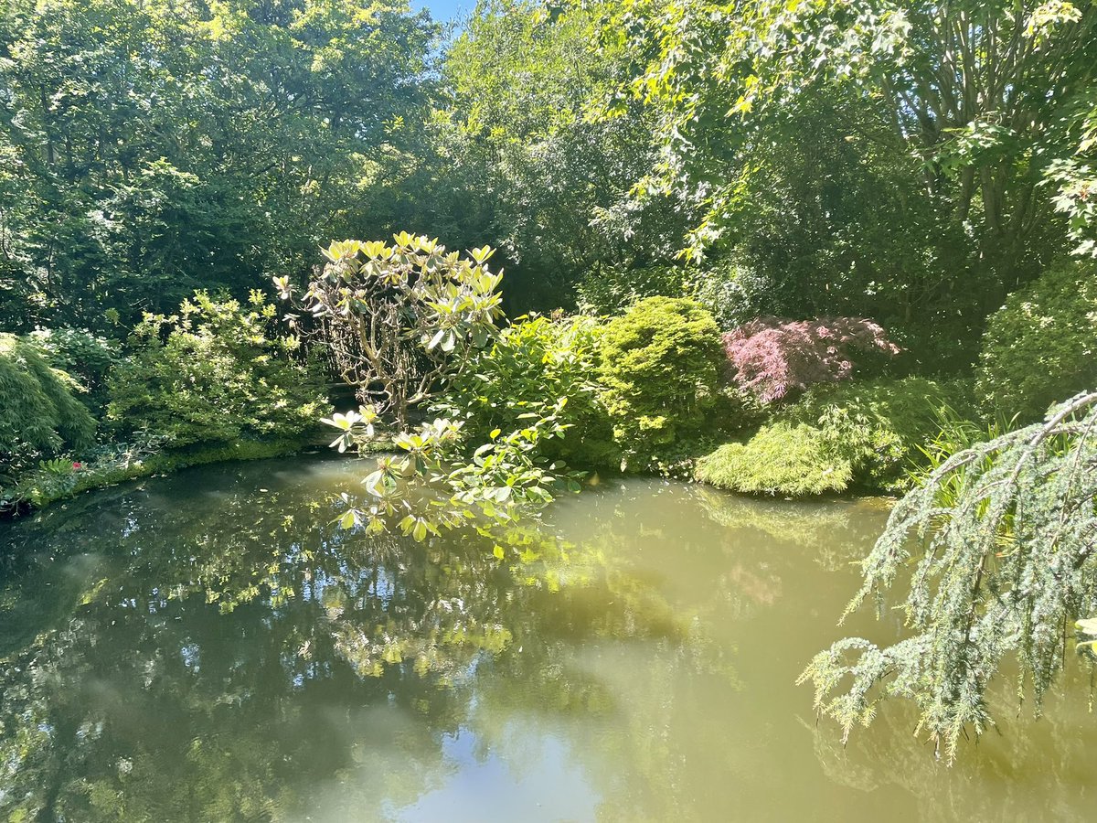 Who knew Cornwall had secret Japanese gardens!?