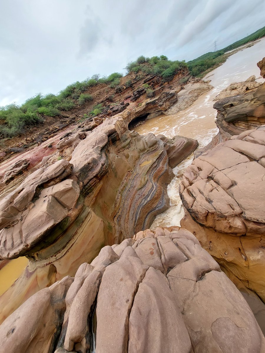 Monsoon at its best. 
My Multi-colored Kachchh.
#Kadiyadhro
<a href="/Kutch/">Kutch</a> Gujarat...
<a href="/dave_janak/">Janak Dave</a> 
<a href="/bhavinsaagar/">BhavinSagar</a> 
<a href="/dcgkrathod/">Govindsinh k Rathod</a> 
@Bhujmahiti