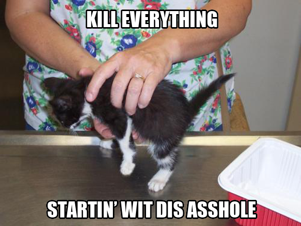 cat_grips's tweet image. 