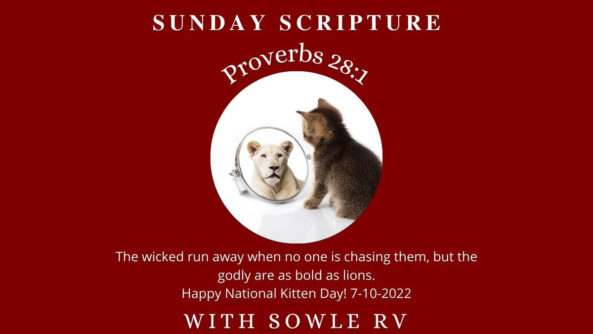 SOWLE_RV's tweet image. Happy National Kitten Day! 

#SundayScripturewithSOWLERV⁣ #SOWLERV #nationalkittenday #nationalkittenday2022