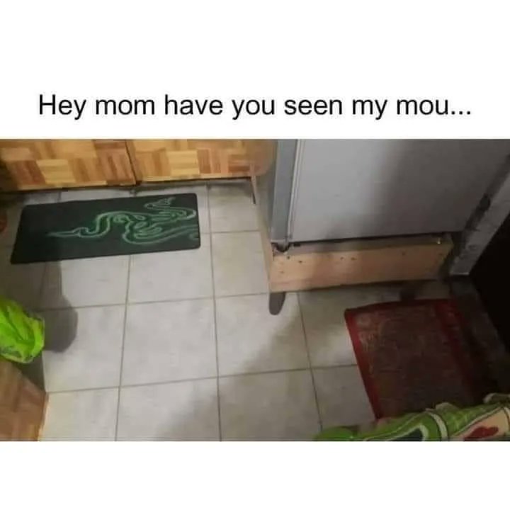 Definitely not its intended usage. #mousepad #razer #pickthatup #gamingmemes #gamememes #game #gaming #humor #funny #videogames #mobile #smartphone #gamemine