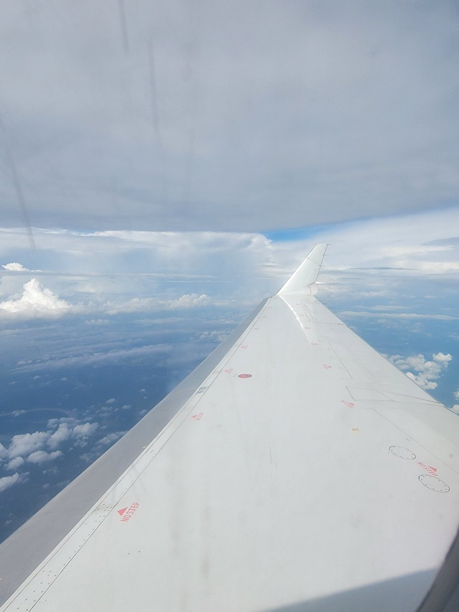 Words And Such tweet media