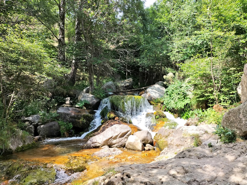 lbartron's tweet photo. Vall Ter/ Coma Armada/ Pic de la Llisa/ #RocaColom / #Costabona/ Refugi de Costabona/ Collada de la Balmeta/ Copa de cava/ Obaga dels carboners/ #Setcases #Ripollès #Pirineu #muntanya #mountains #apeu #senderisme #treeking #hiking #randonee https://t.co/tcjXldlOp7