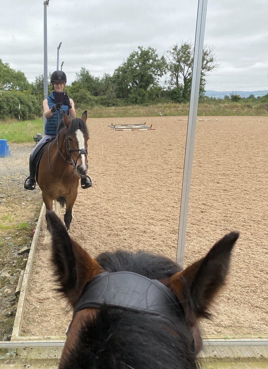 carol199's tweet photo. #HappyPlace #Roxy #BackOnBoard #GoodPony #PonySelfie https://t.co/skgbWJCcpW